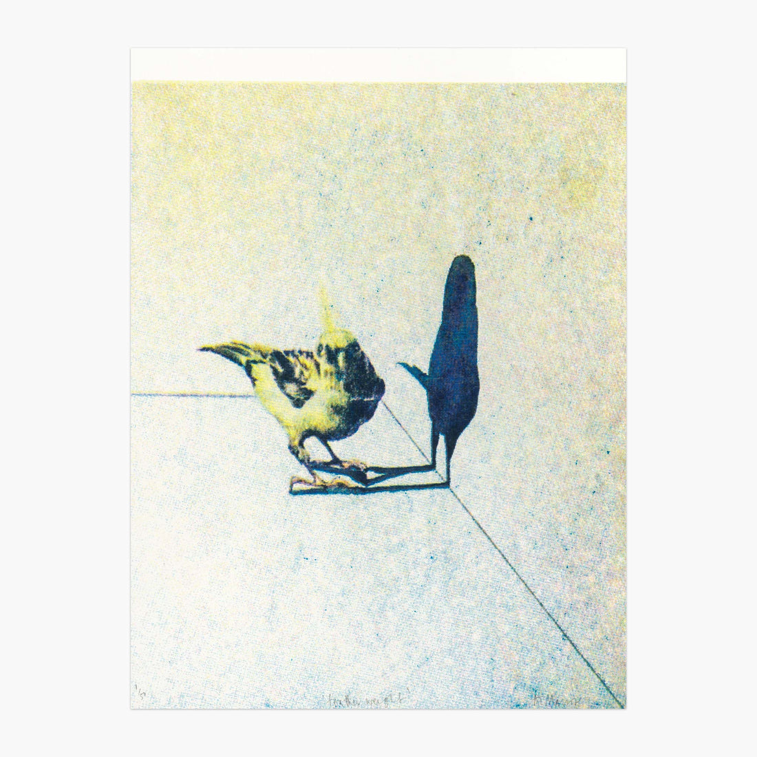 Ten Bird Art Gift Ideas for Bird Fans