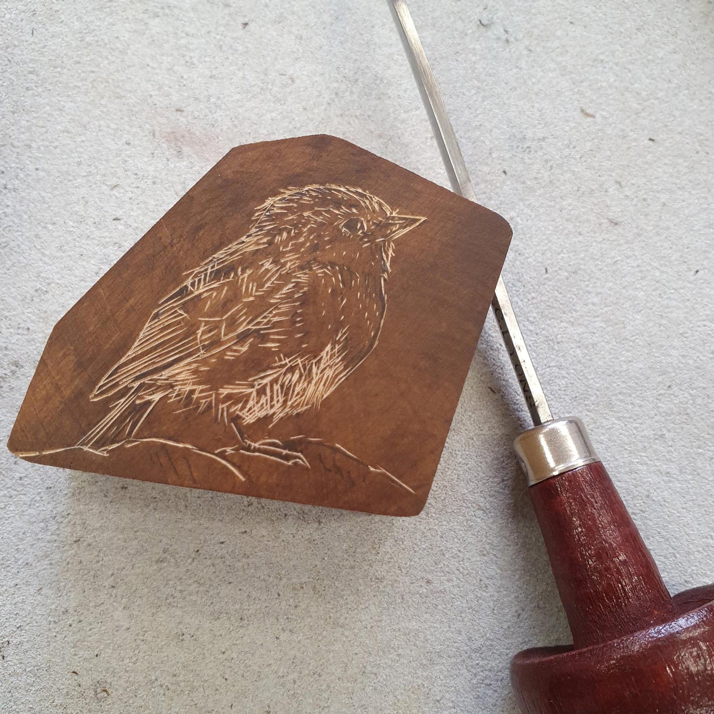 Robin wood engraving by Fiona Hamilton.