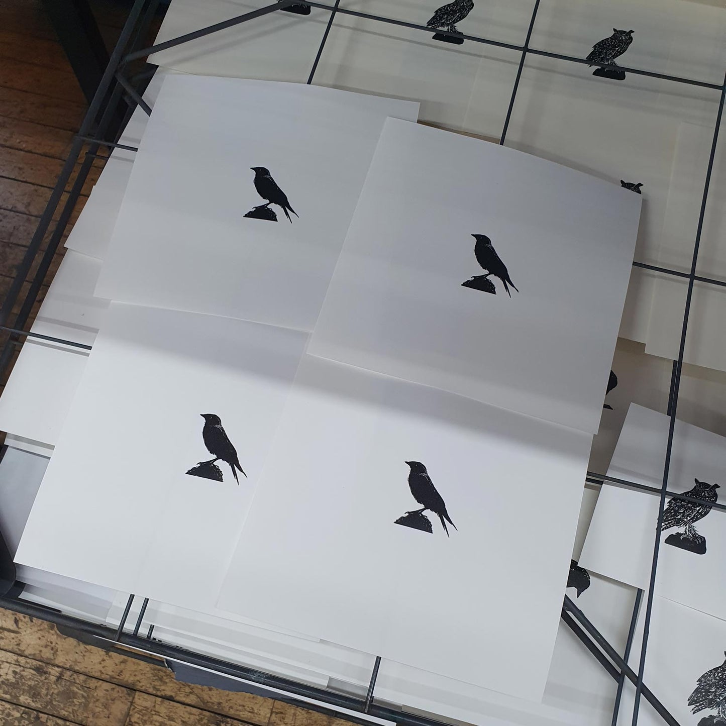 Jackdaw wood engraving by Fiona Hamilton.