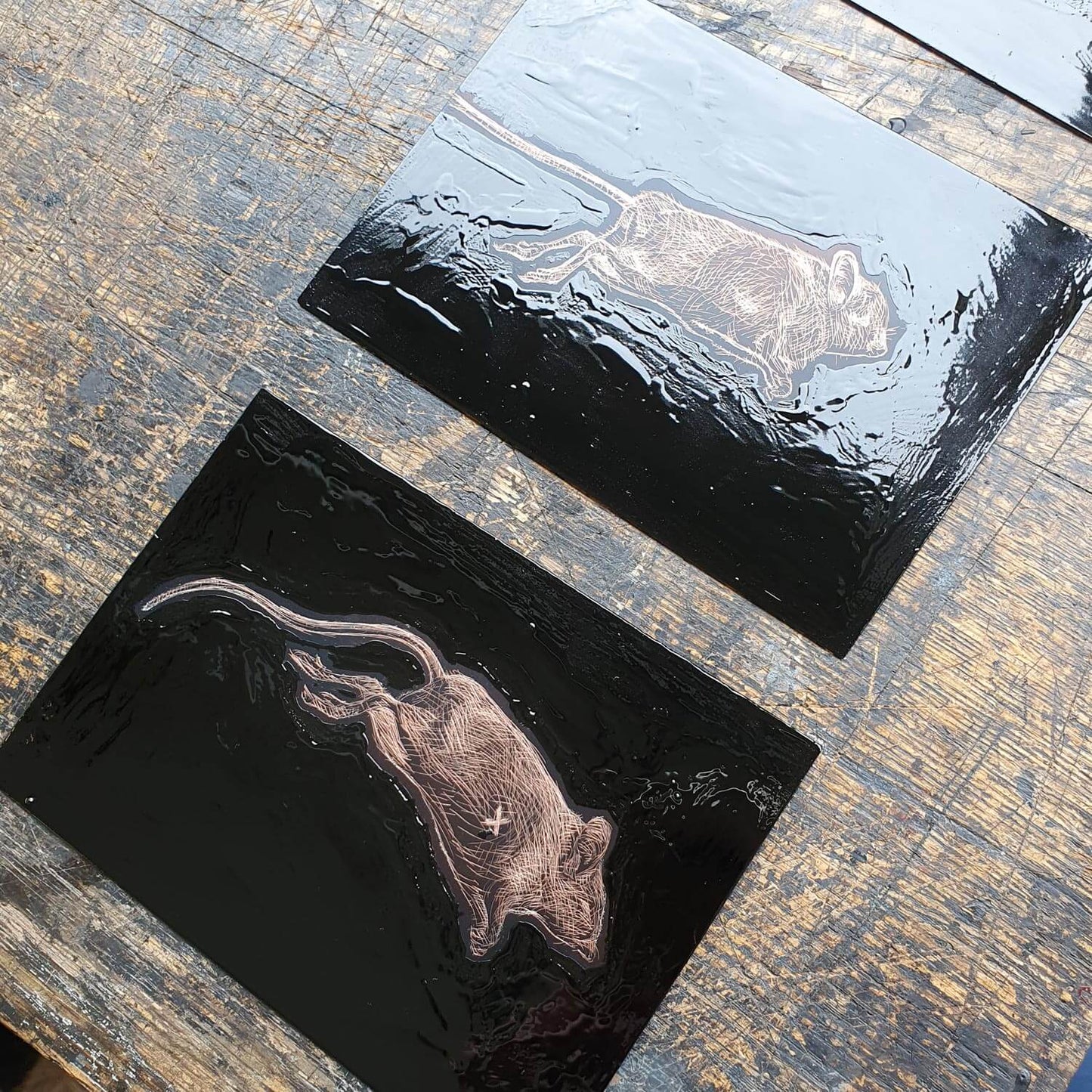 Mortuus etching of a mouse by Fiona Hamilton.