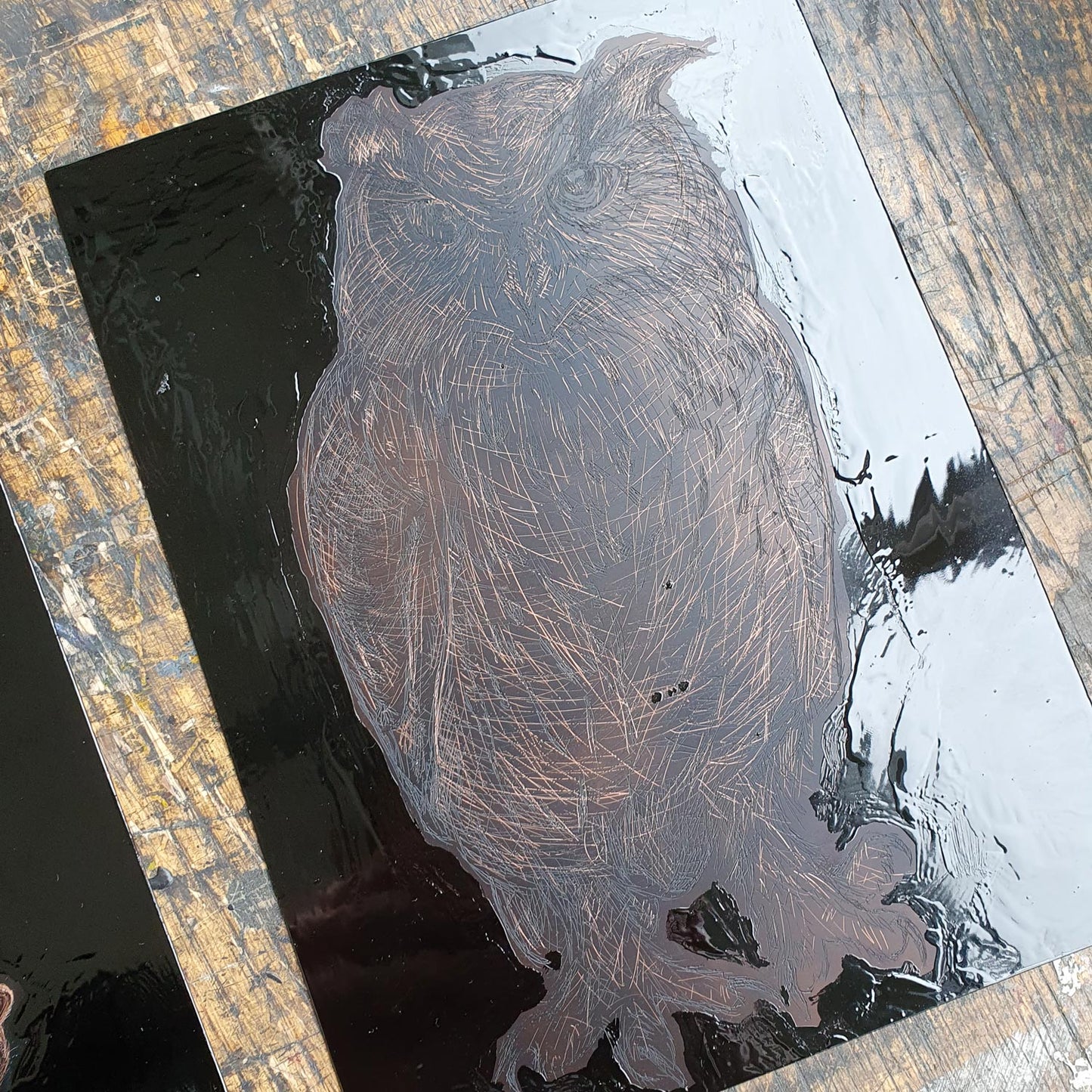 Noctua owl intaglio etching print by Fiona Hamilton.