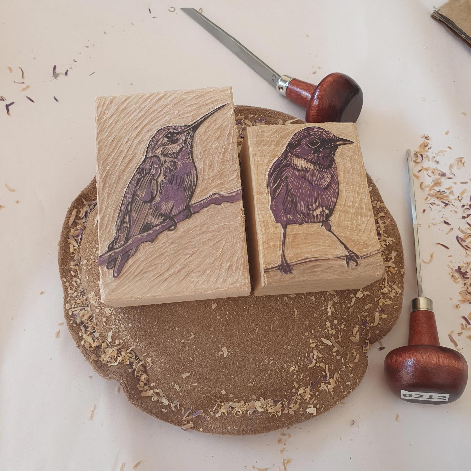 Wood engraving print of Anna's Hummingbird miniature hand printed wood cut relief print in black and white by Fiona Hamilton.