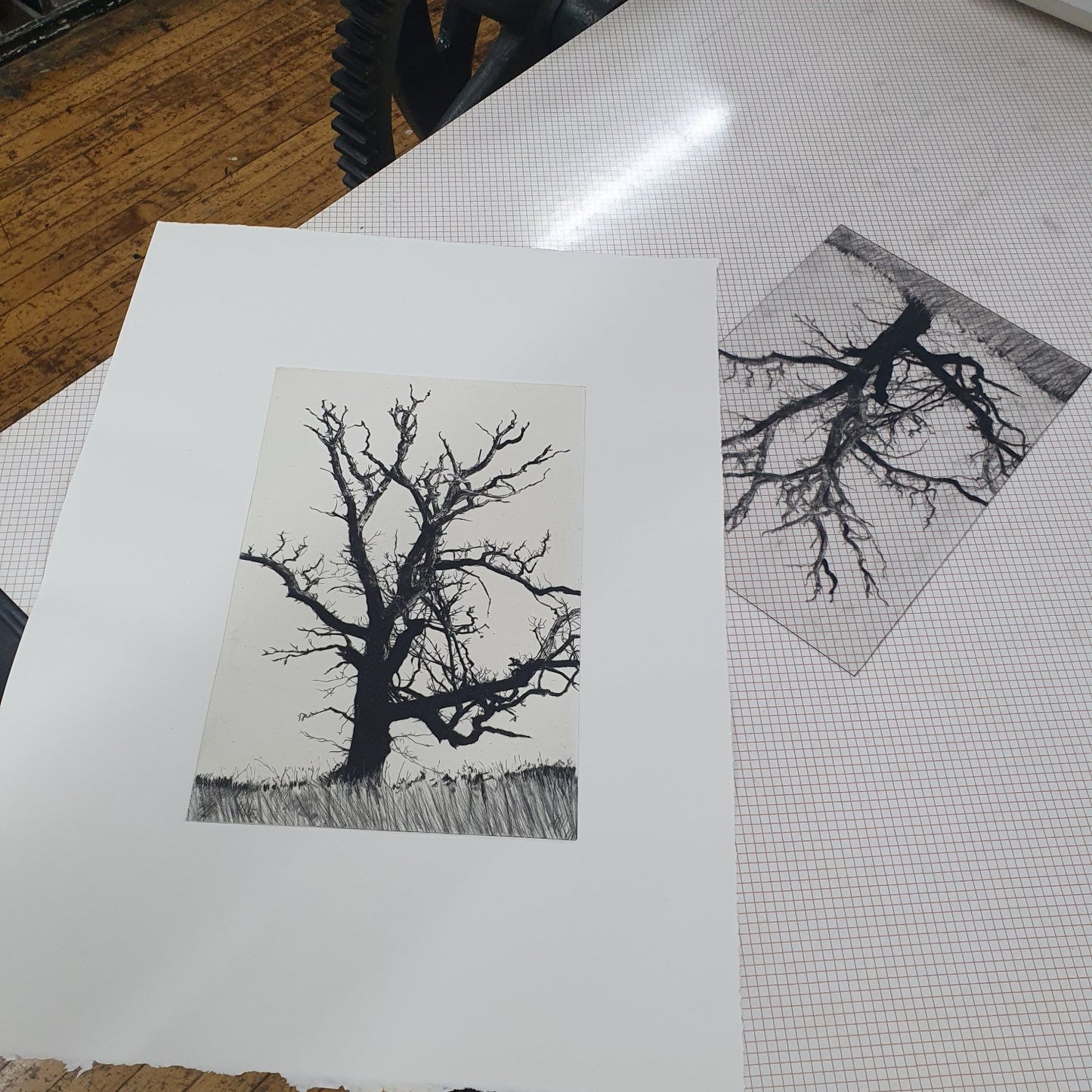 Winter Abscission drypoint etching original print with chine colle of trees and branches by Fiona Hamilton in black and white