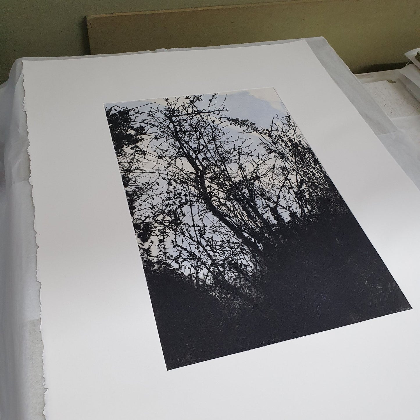Summerhouse Plantation in Winter drypoint etching original print with watercolour and chine colle of trees and branches by Fiona Hamilton in blue, black and white