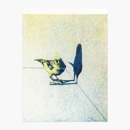 Featherweight screen print by Anna Marrow of a small yellow bird with a big blue shadow.