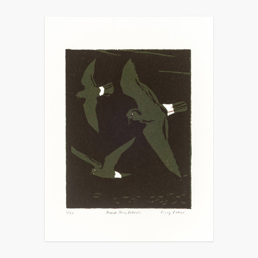 Annet Storm Petrels screen print by Pirrip Press.