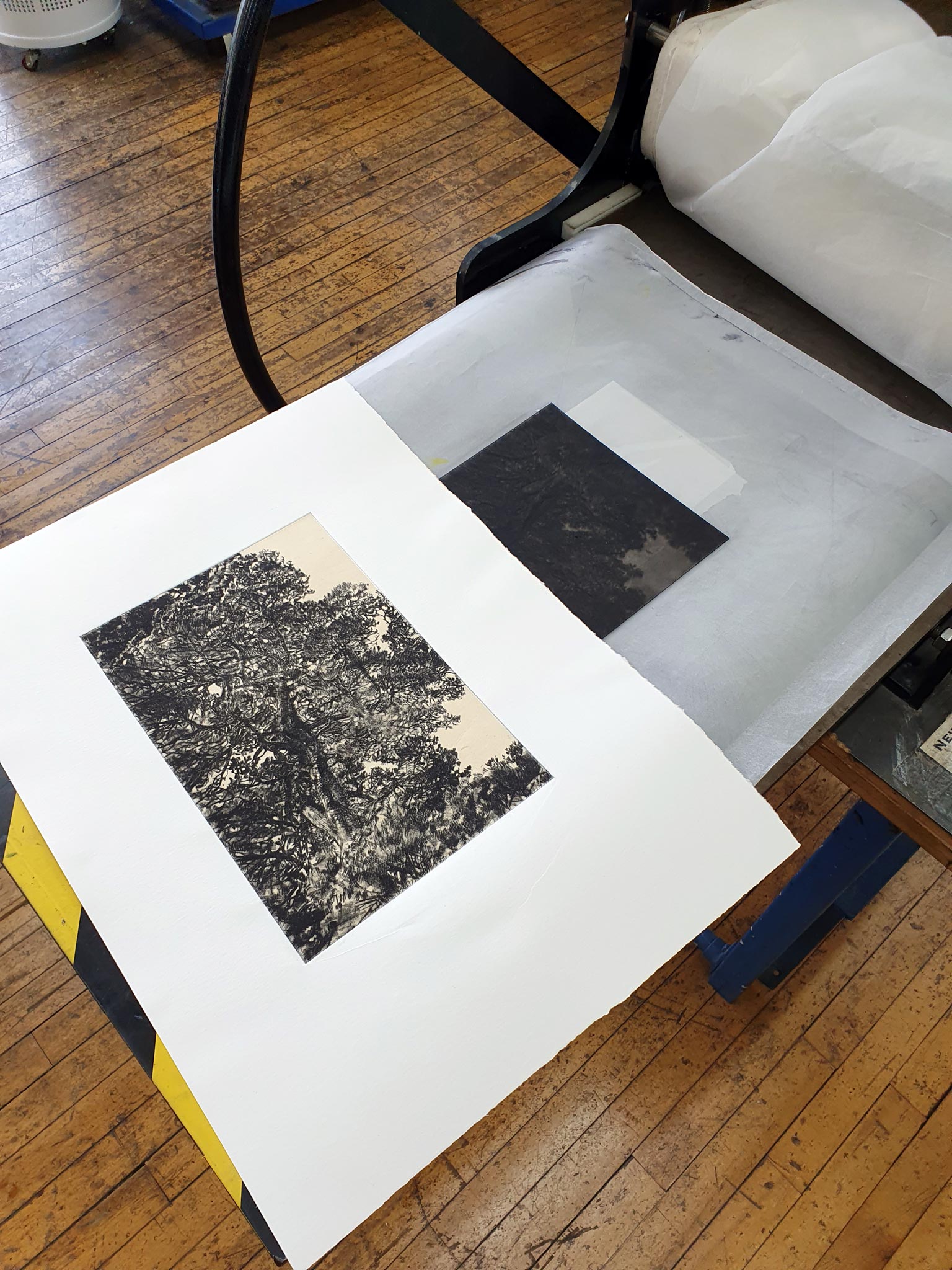 Autumn Pine drypoint and chine collé etching original print by Fiona Hamilton