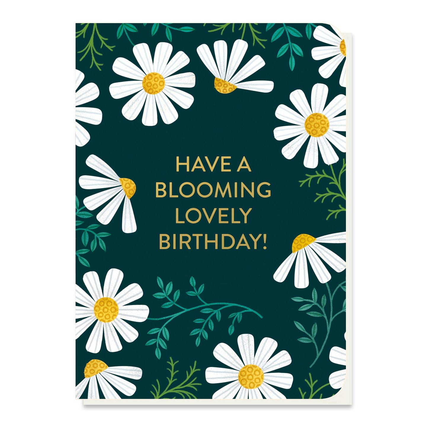 Chamomile Seed Card
