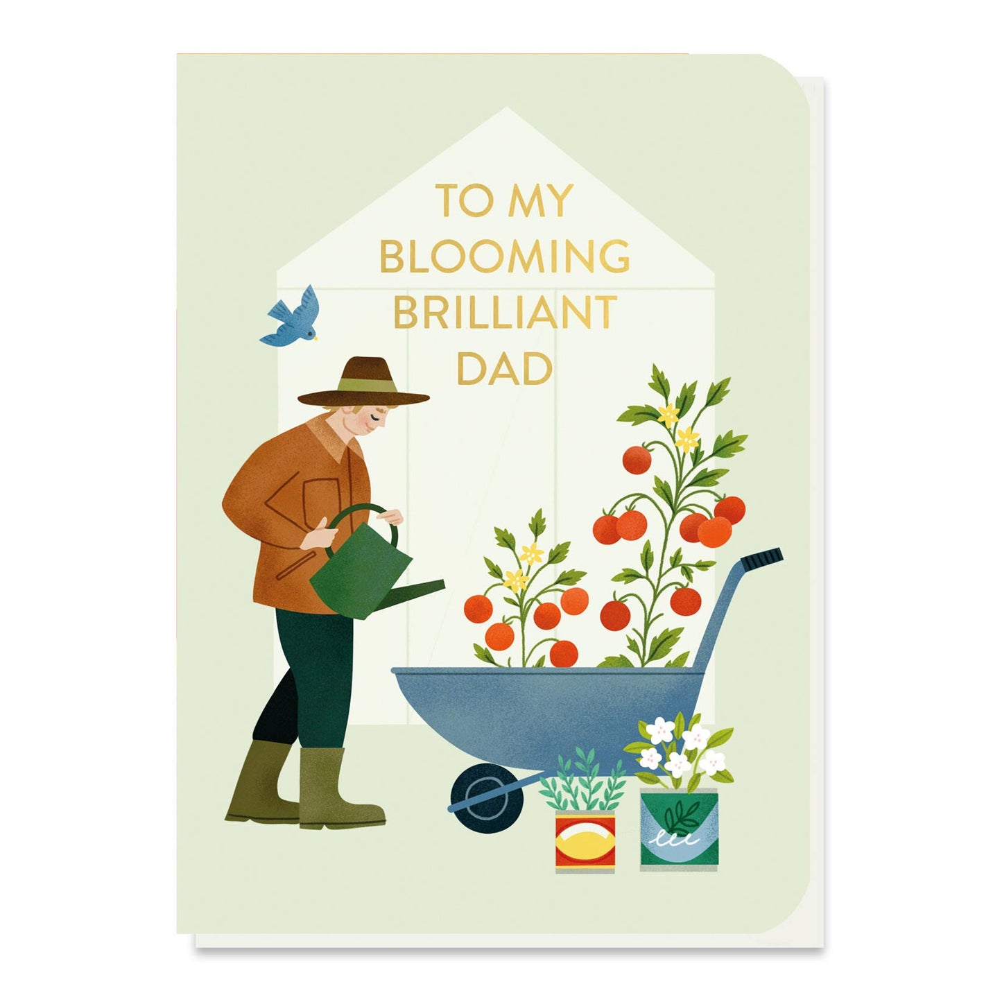 Dad tomato garden seed greeting card by Stormy Knight.