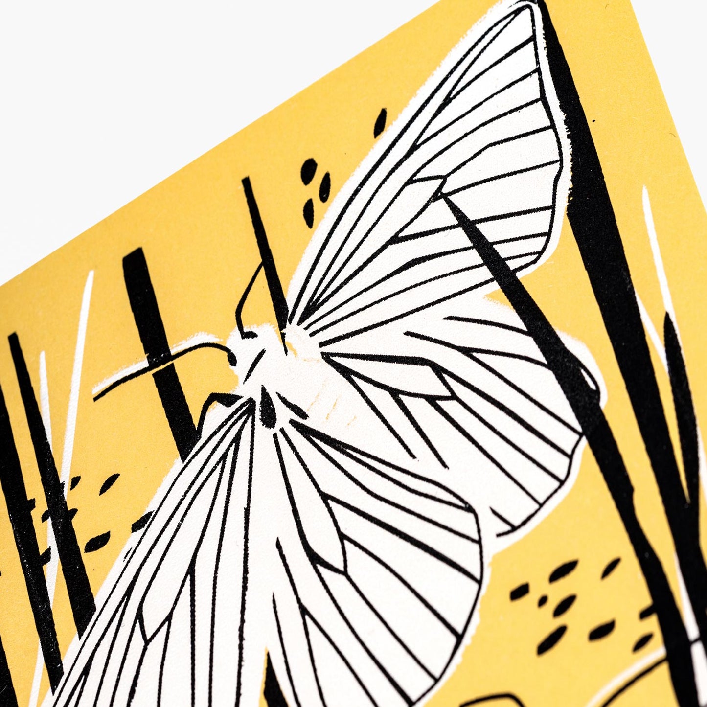 black veined moths greeting card in black white and yellow greeting card by pirrip press