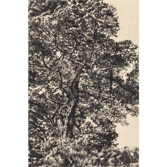 Autumn Pine drypoint and chine collé etching original print by Fiona Hamilton.