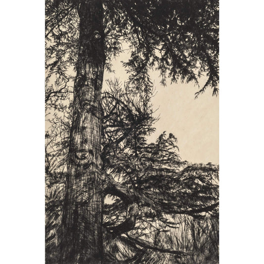 Greville Smyth Cedar drypoint etching with chine collé by Fiona Hamilton.
