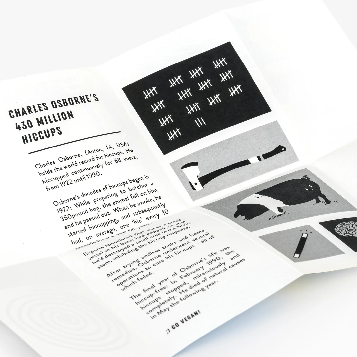 hiccups be gone illustrated instruction zine by pirrip press