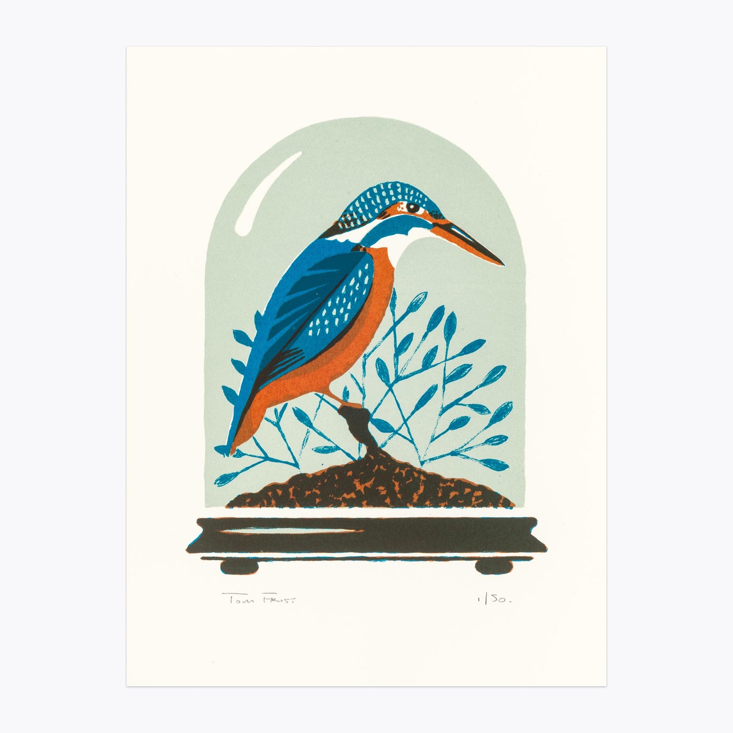 Stuffed Kingfisher taxidermy original art screen print by Tom Frost.