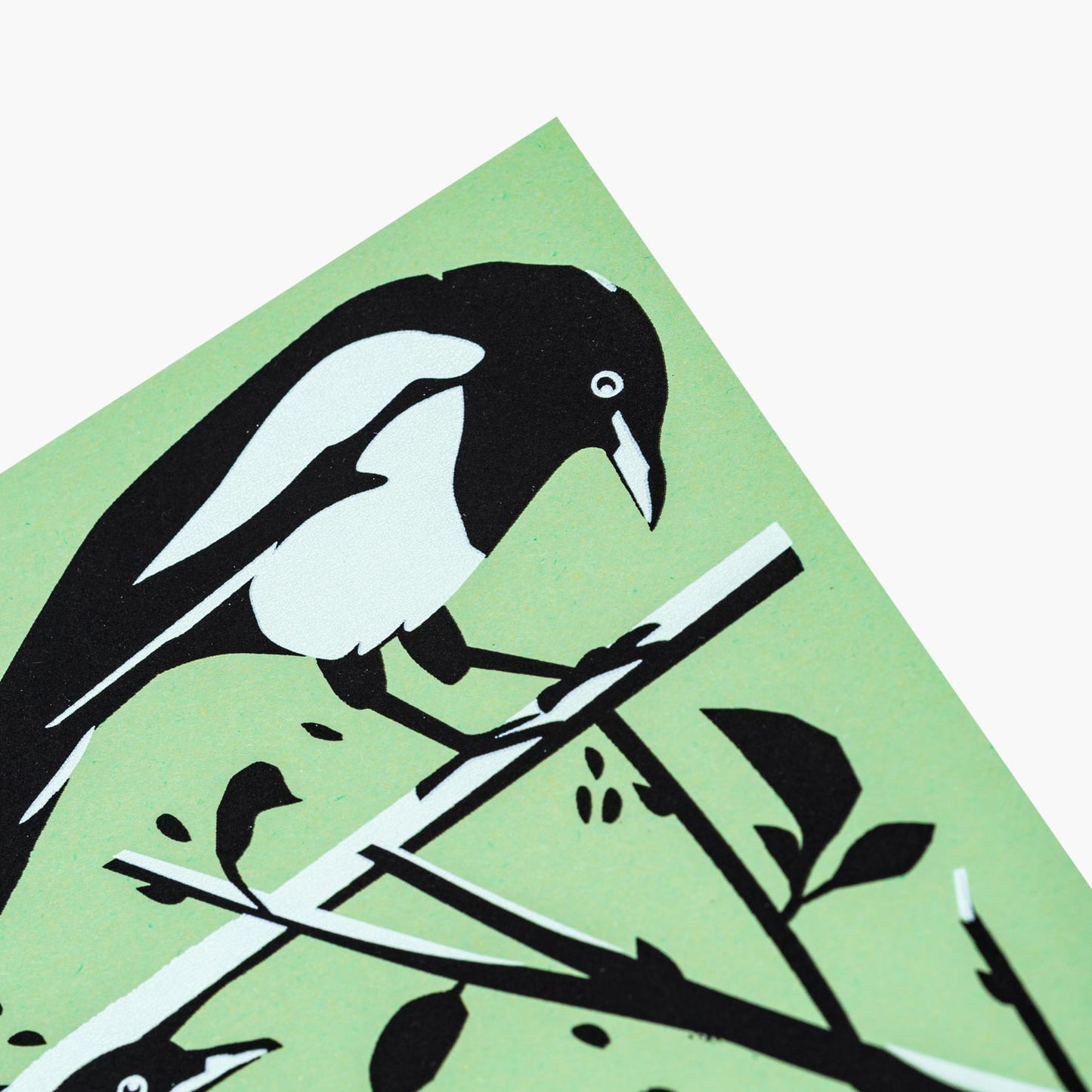 two for joy magpies in black white and green greeting card by pirrip press