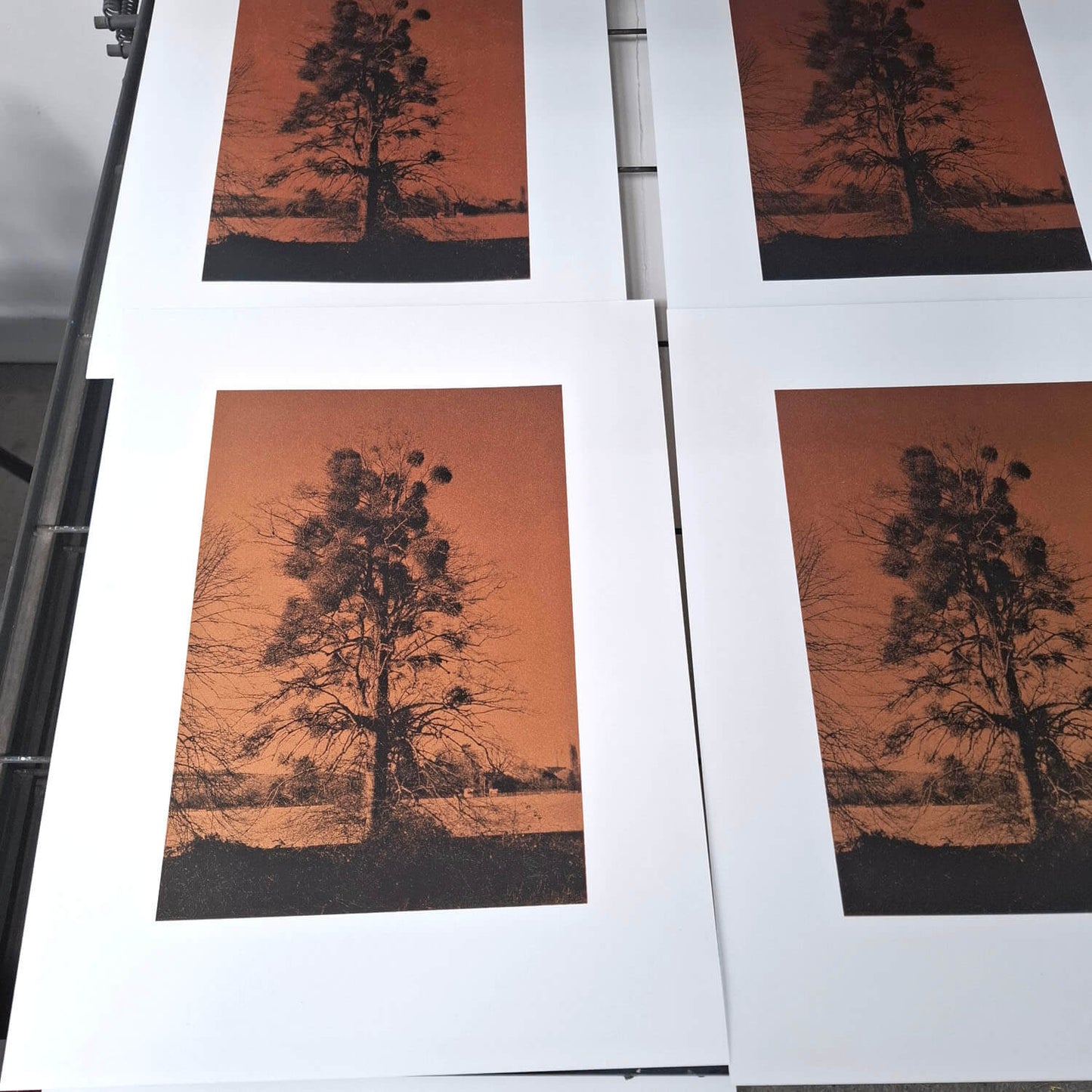 An Abundance of Mistletoe Art Screen Print