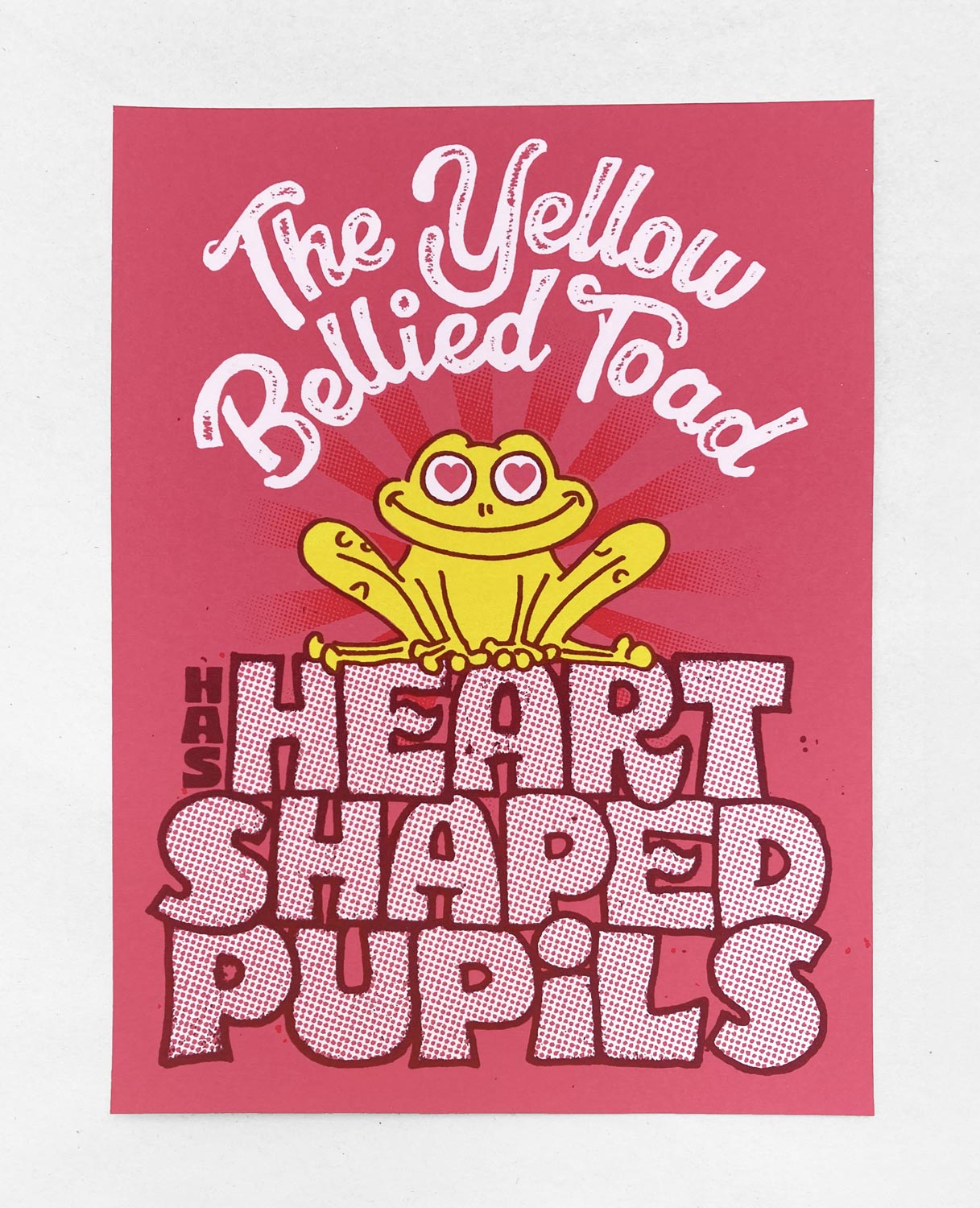 The Yellow Bellied Toad has Heart Shaped Pupils original silkscreen art print by illustrator Andy Smith.
