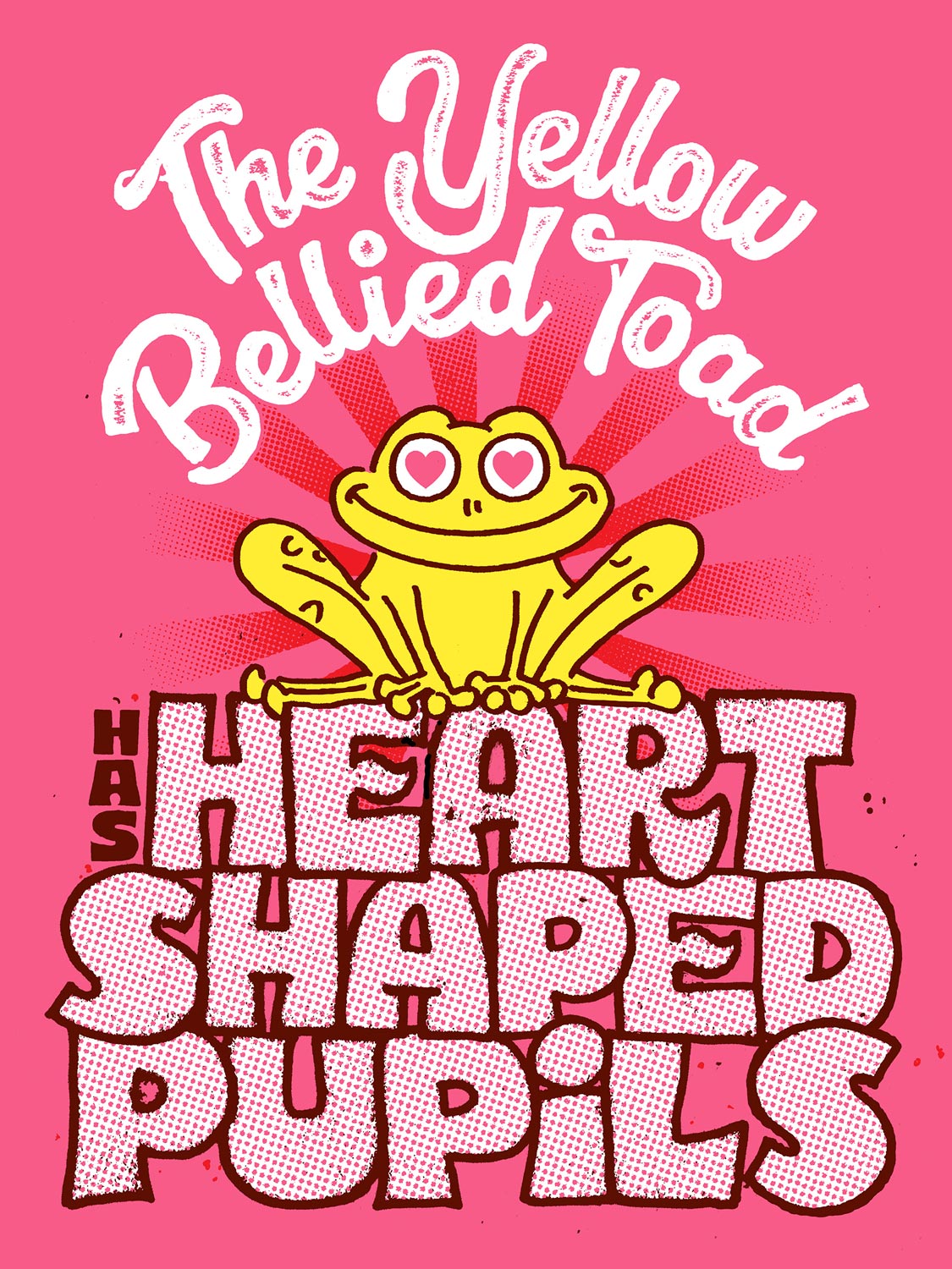 The Yellow Bellied Toad has Heart Shaped Pupils original silkscreen art print by illustrator Andy Smith.