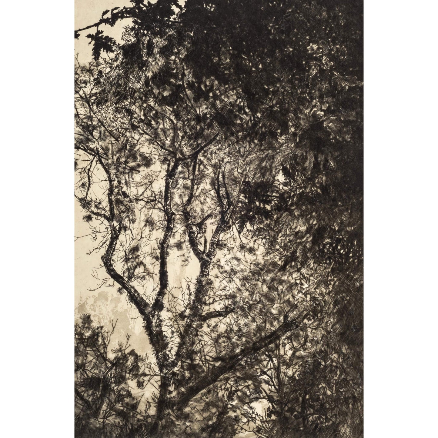 Autumn Light drypoint and litho printed chine collé etching original print by Fiona Hamilton.