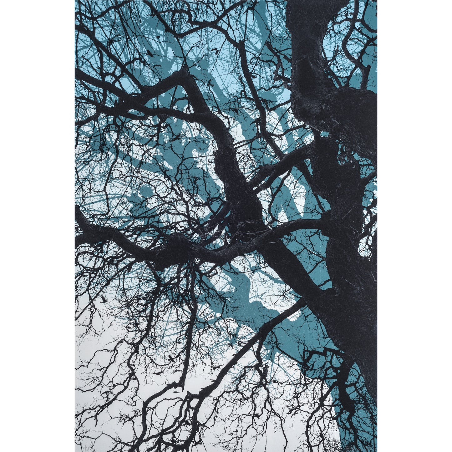 Branches Blue Print