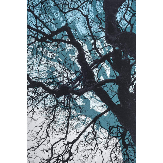 Branches in blue original tree screen print by Fiona Hamilton.