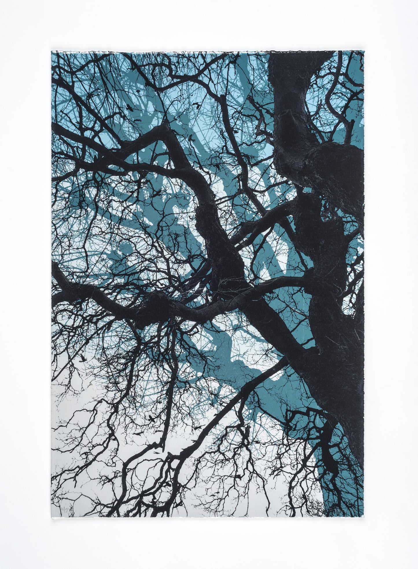 Branches Blue Print