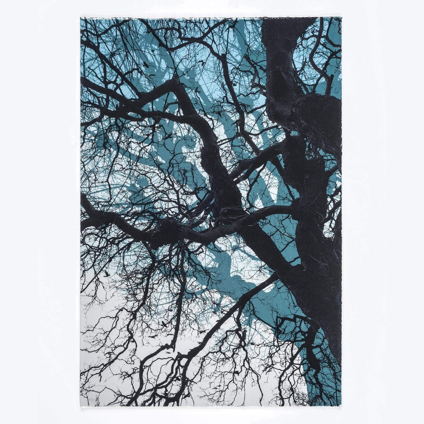 Branches in blue original tree screen print by Fiona Hamilton