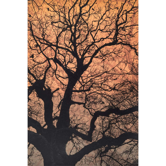Branches in gold original tree screen print by Fiona Hamilton.