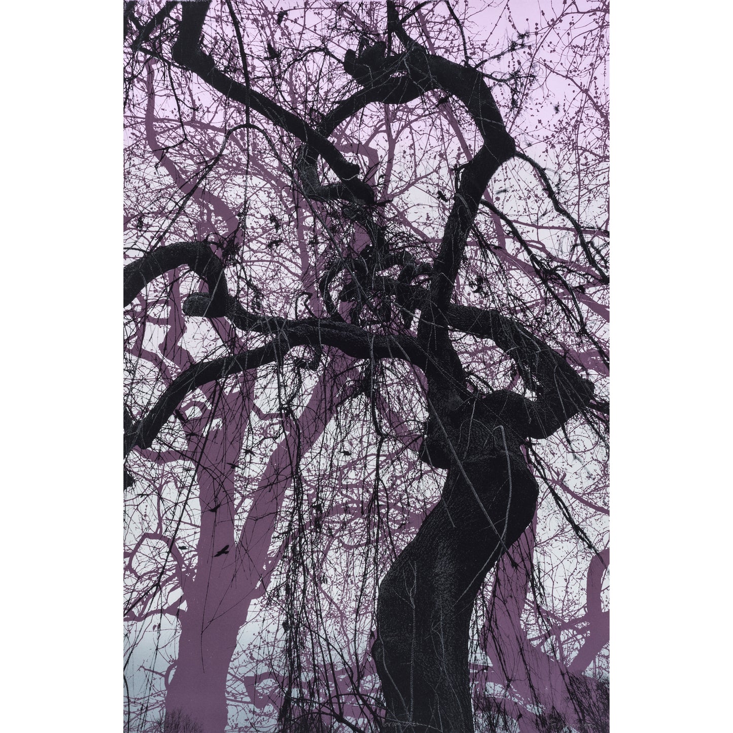 Branches Purple Print