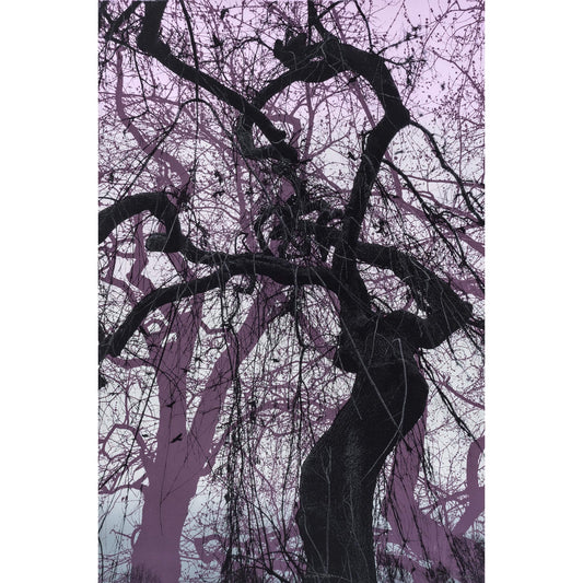 Branches in purple original tree screen print by Fiona Hamilton.