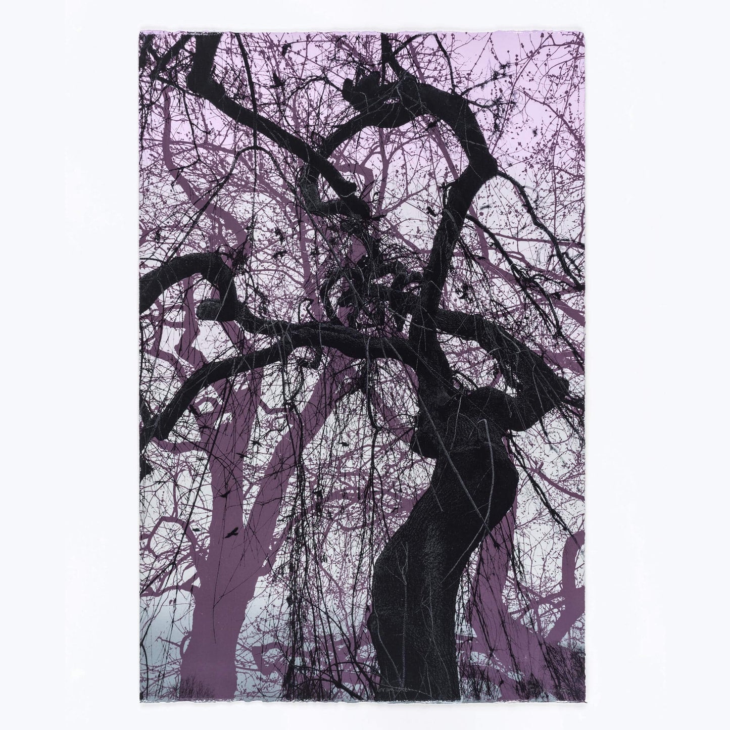 Branches in purple original tree screen print by Fiona Hamilton.