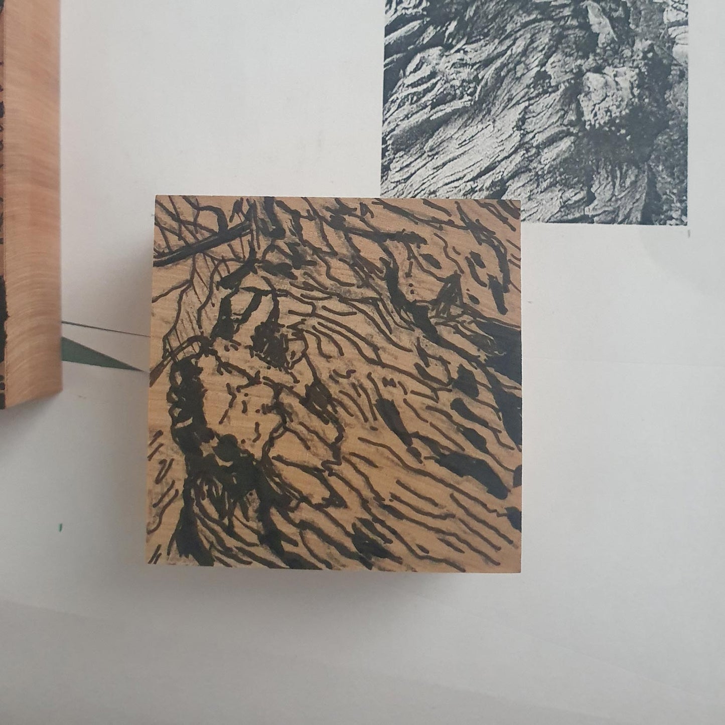 Chestnut Scars Wood Engraving Art Print