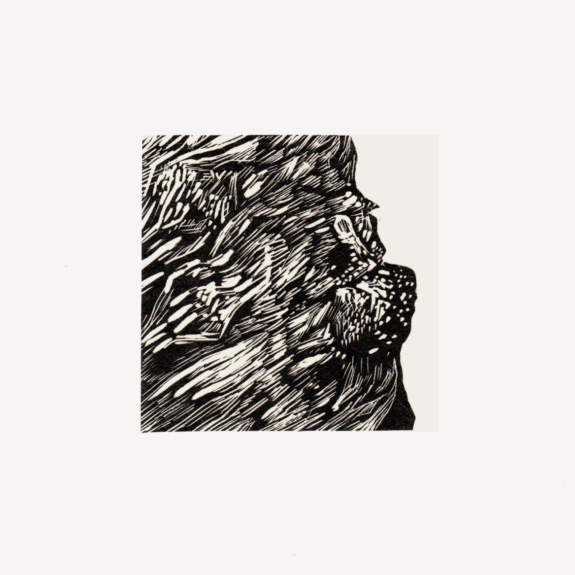 Chestnut Scars Wood Engraving Art Print