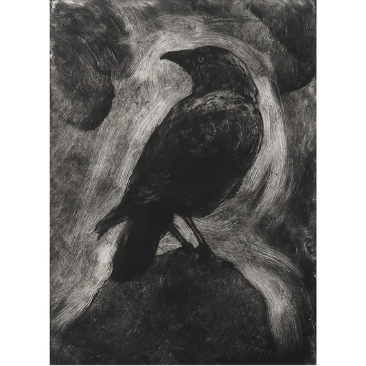 Jackdaw drypoint etching with monoprint wiping by Fiona Hamilton in black and white