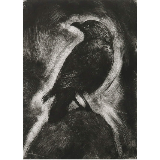 Jackdaw drypoint etching with monoprint wiping by Fiona Hamilton in black and white
