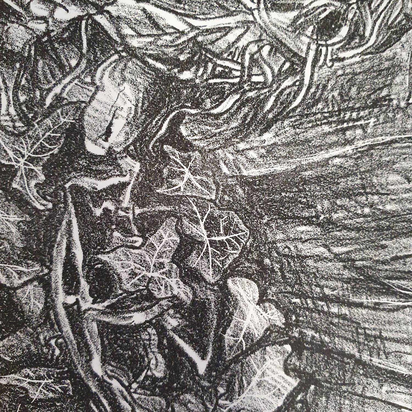 Decomposition stone lithograph print by Fiona Hamilton from series of Underfoot stone lithography original art prints.