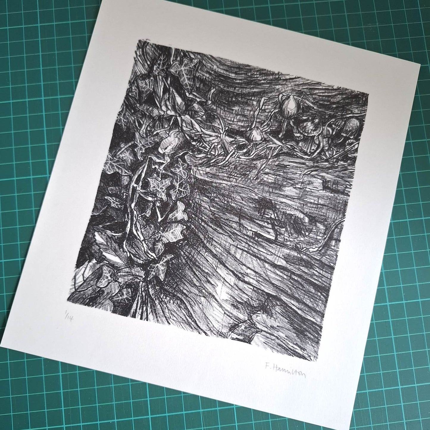 Decomposition Print