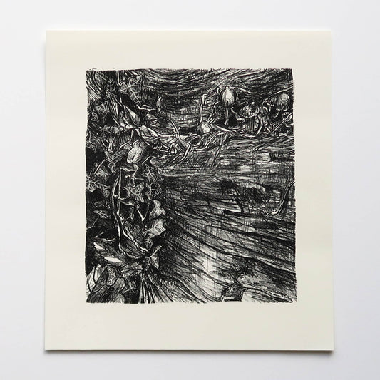 Decomposition stone lithograph print by Fiona Hamilton from series of Underfoot stone lithography original art prints.