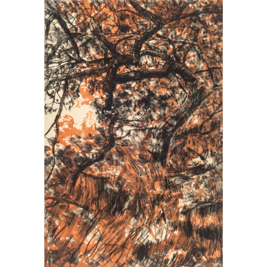 Domesday Oak drypoint etching original print with lithography and chine colle of an oak tree by Fiona Hamilton in orange, black and cream