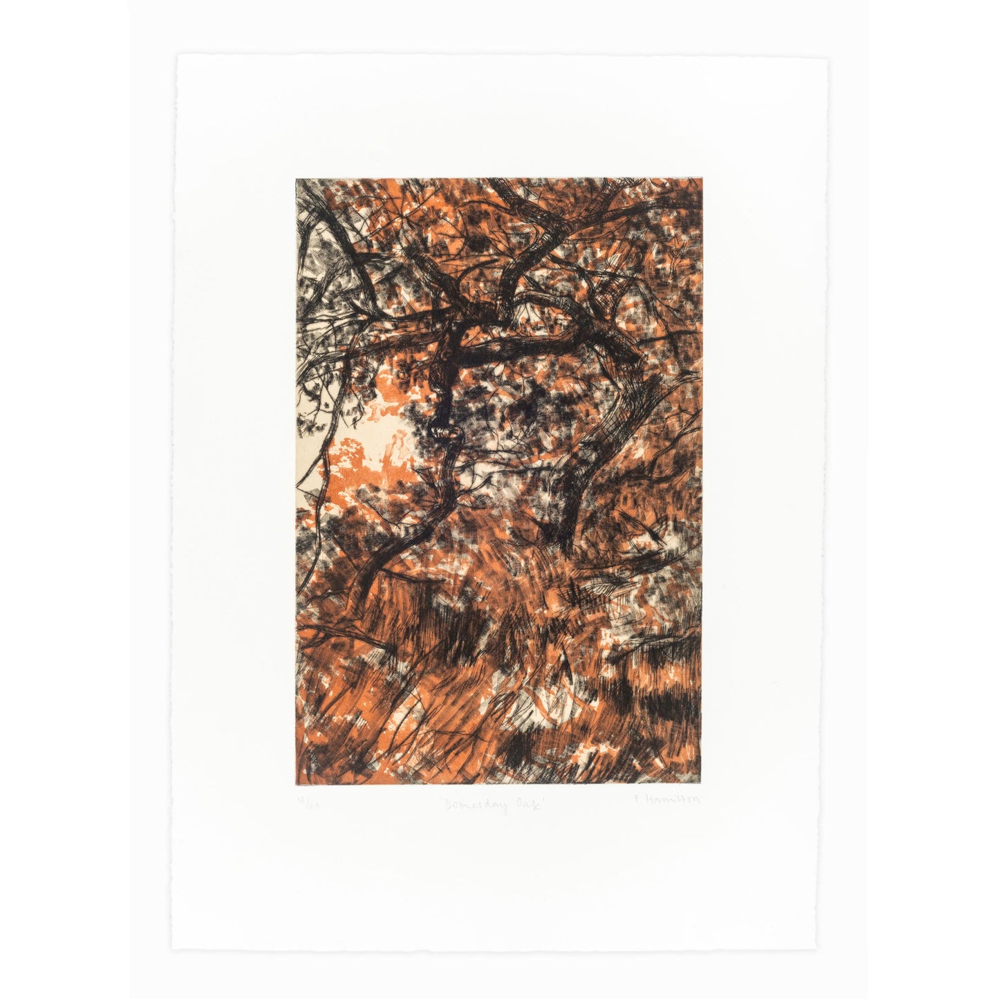 Domesday Oak Print