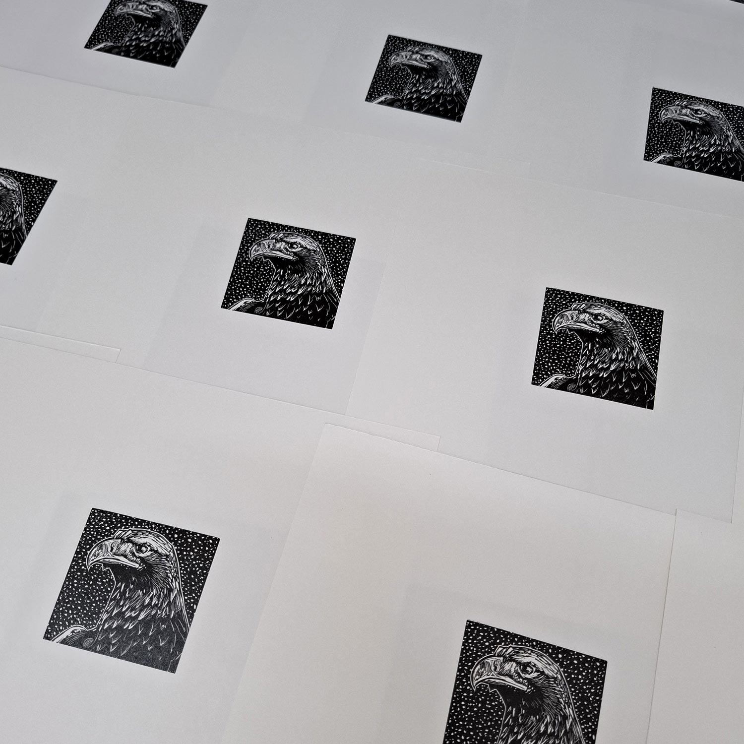 Golden eagle head wood engraving in black and white, just printed and on the drying rack by contemporary printmaker and artist, Fiona Hamilton.