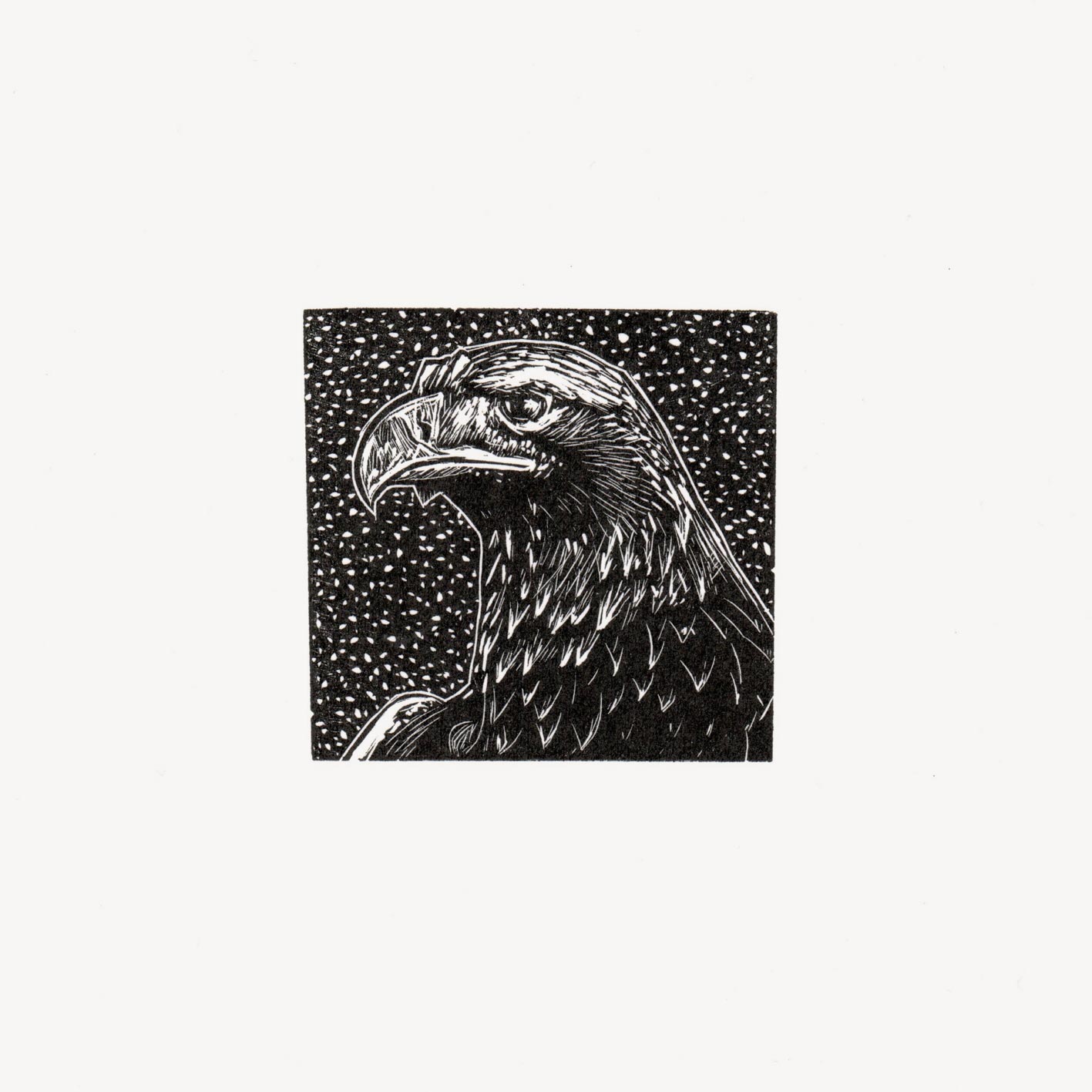 Eagle Wood Engraving Art Print