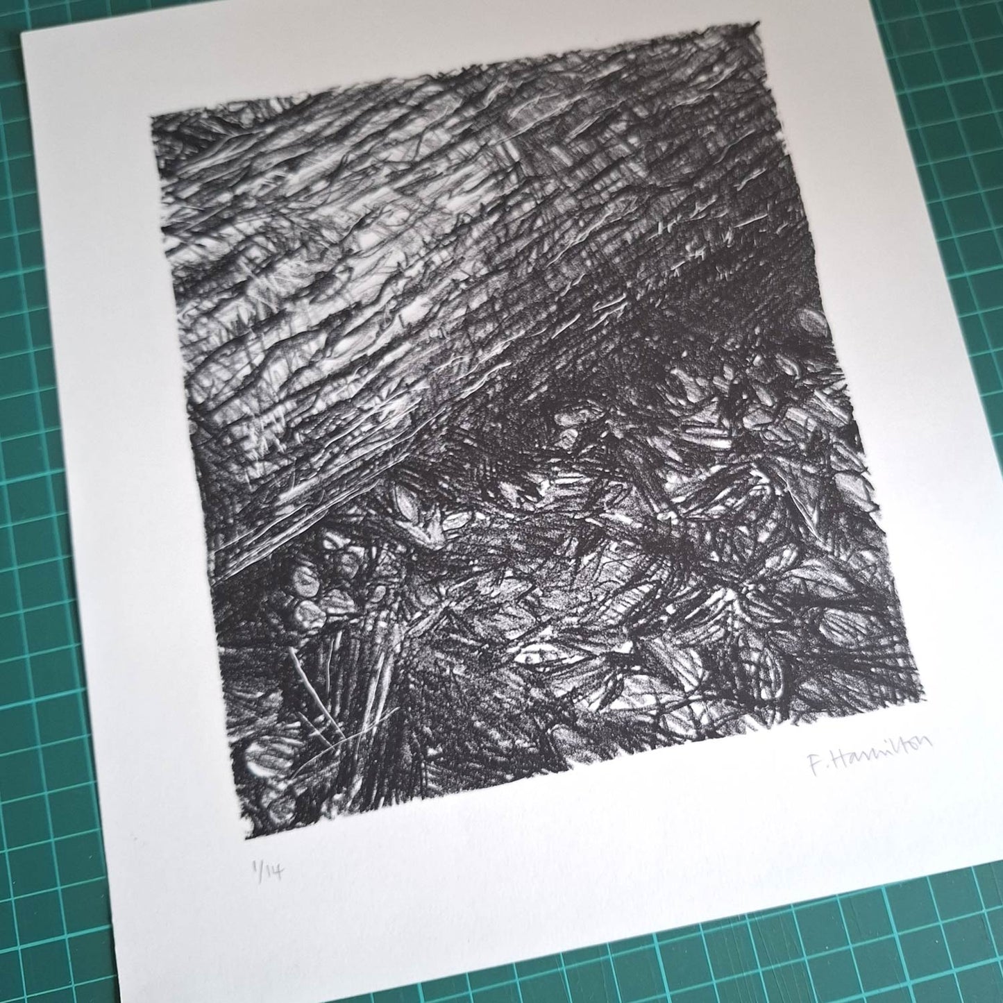 Felled Print