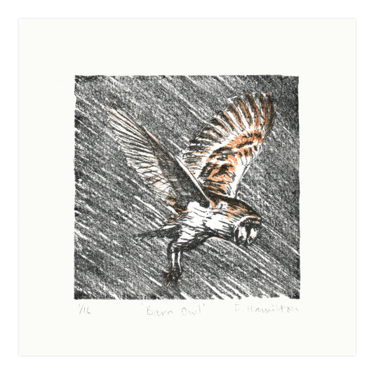 Barn owl in flight hand drawn lithograph in orange and grey black by Fiona Hamilton original art print