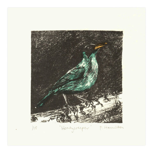 Green Honeycreeper lithographic original art bird print by Fiona Hamilton.