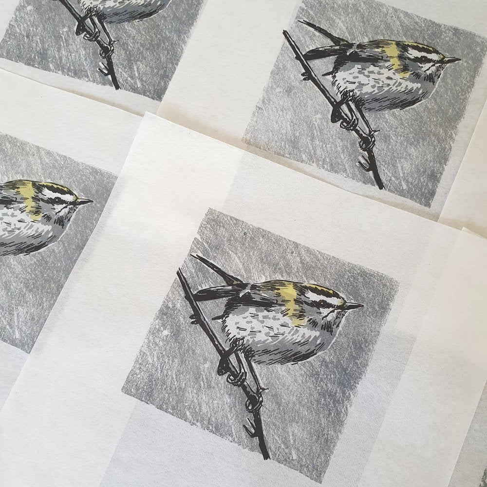 Firecrest bird on branch lithographic original art print for wall by Fiona Hamilton