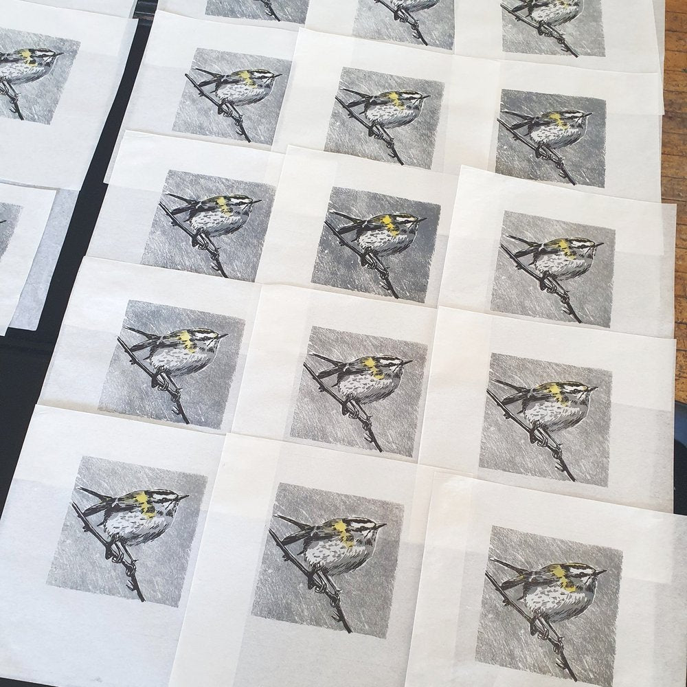 Firecrest bird on branch lithographic original art print for wall by Fiona Hamilton