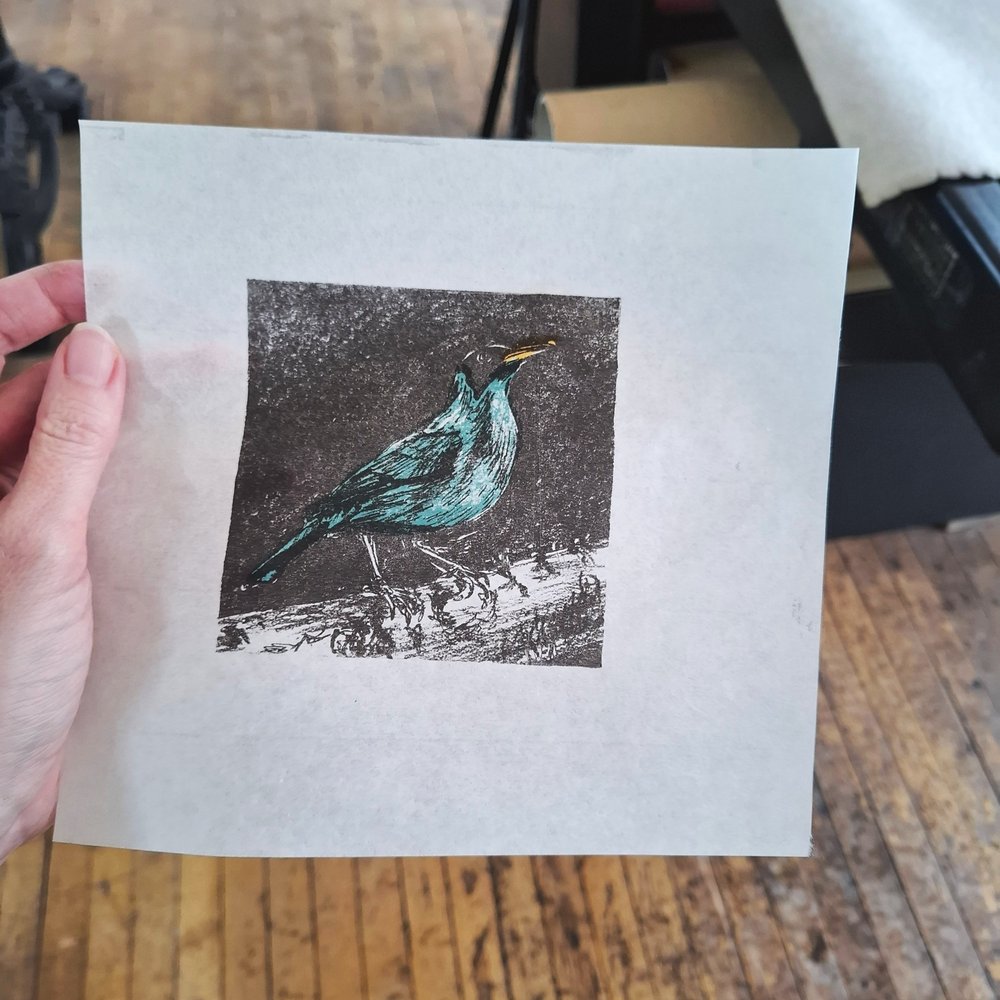 Green Honeycreeper lithographic original art bird print by Fiona Hamilton.