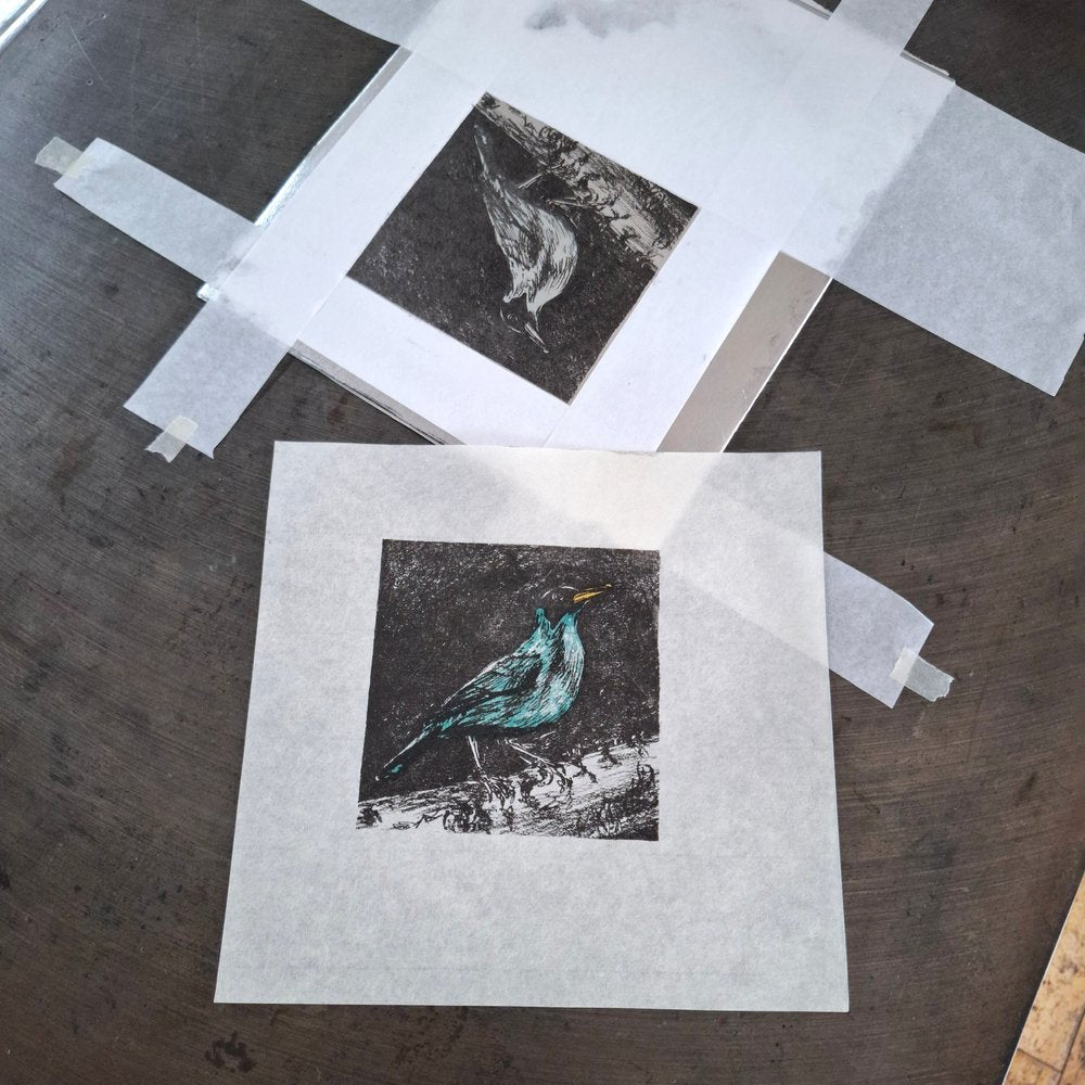 Green Honeycreeper lithographic original art bird print by Fiona Hamilton.