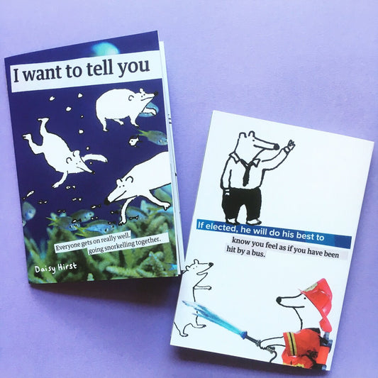 I want to tell you zine by Daisy Hirst.